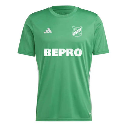 Torwart-Trikot Kurzarm (Green)